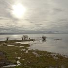 Lago Villarrica