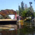 Lago Xochimilco en México D.F.