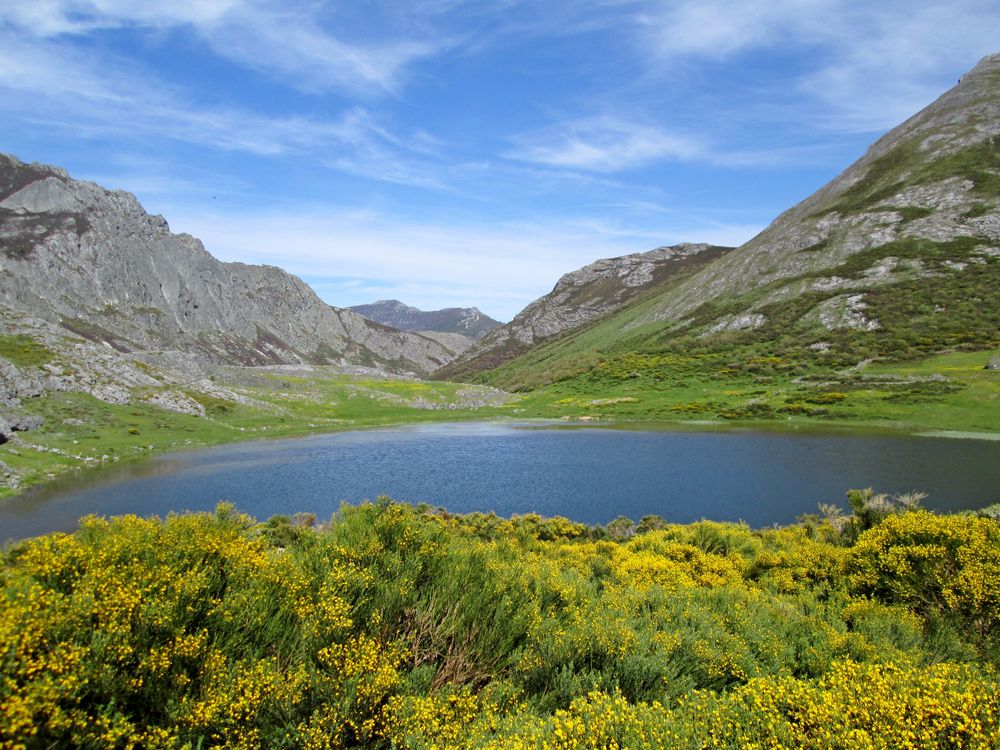 Lago Y Montañas