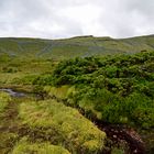 Lagoa Branca