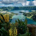 Lagoa das Sete Cidades