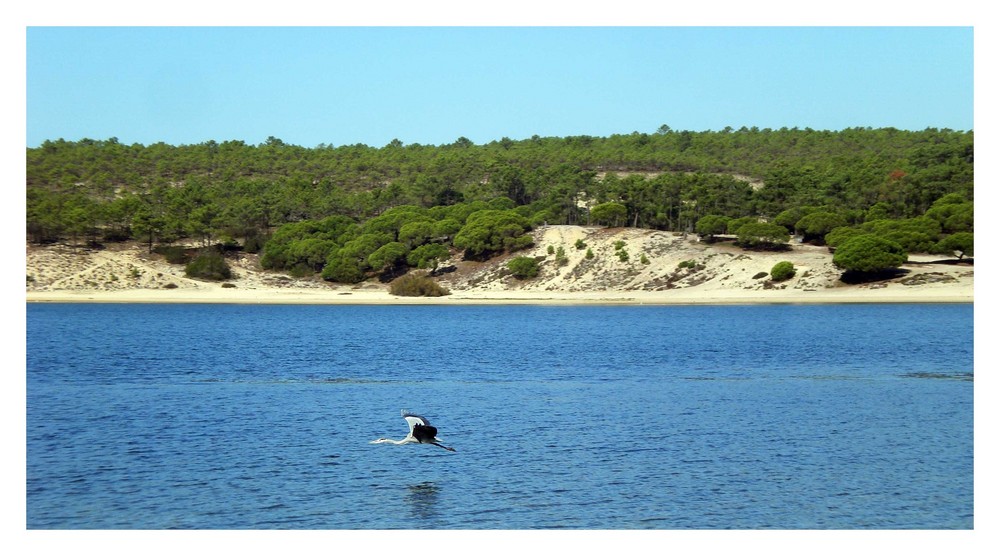 lagoa de albufeira