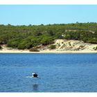 lagoa de albufeira