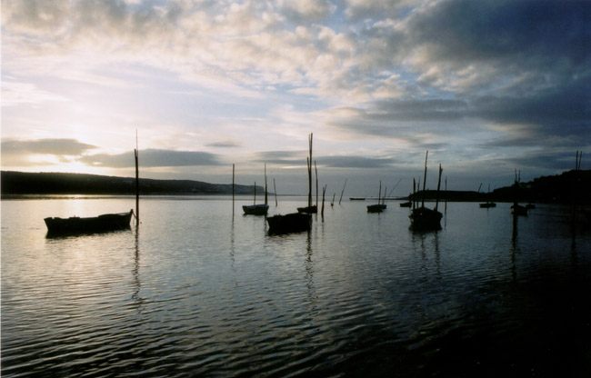 Lagôa de Óbidos