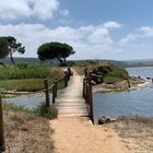 Lagoa de Obidos Portugal 