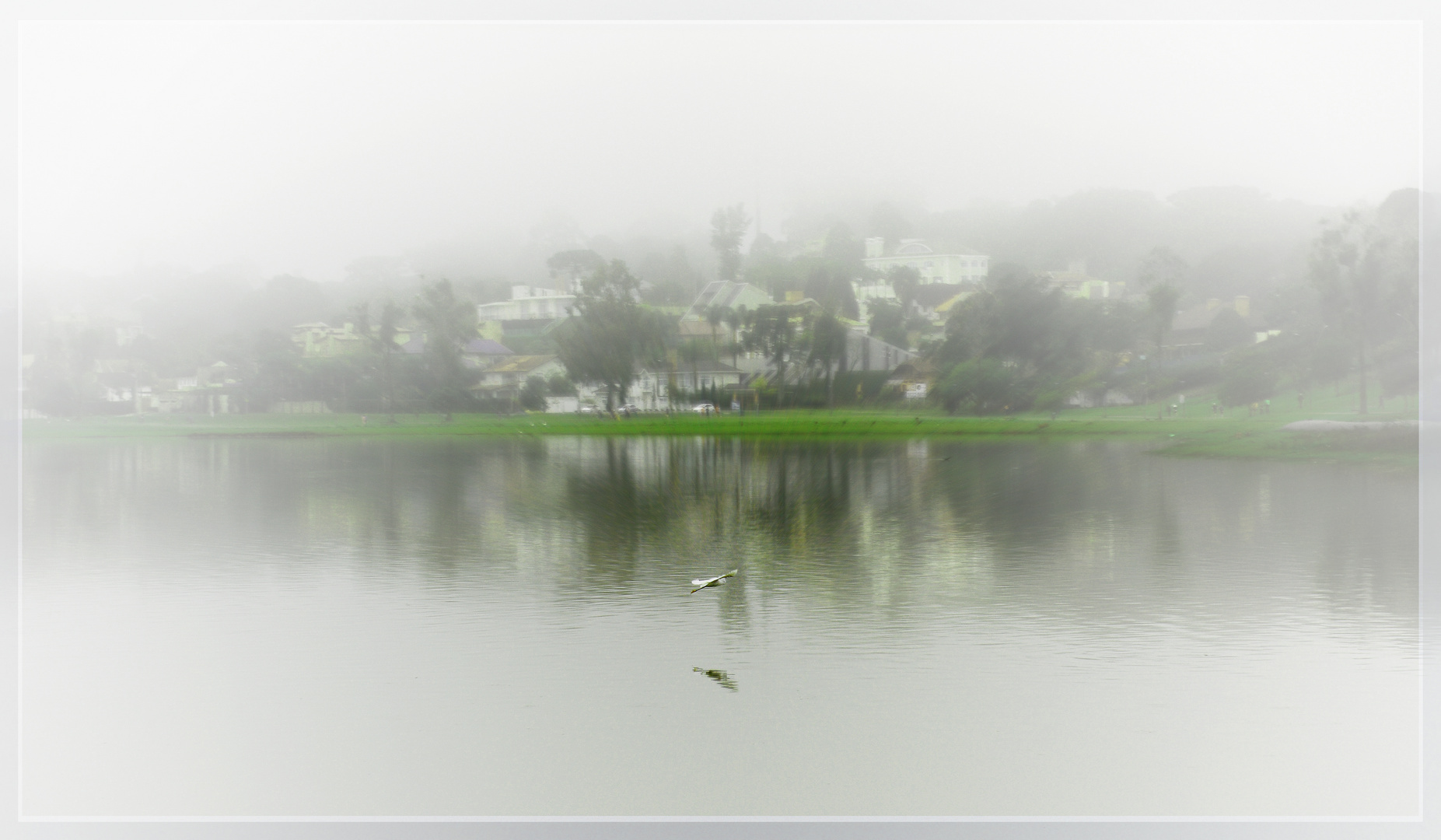 Lagoa do Barigui - Curitiba - Brasil