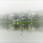 Lagoa do Barigui - Curitiba - Brasil