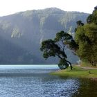 Lagoa Verde, Sao Miguel