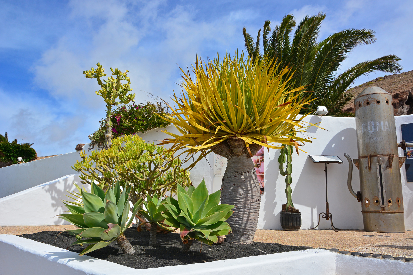 Lagomar Lanzarote