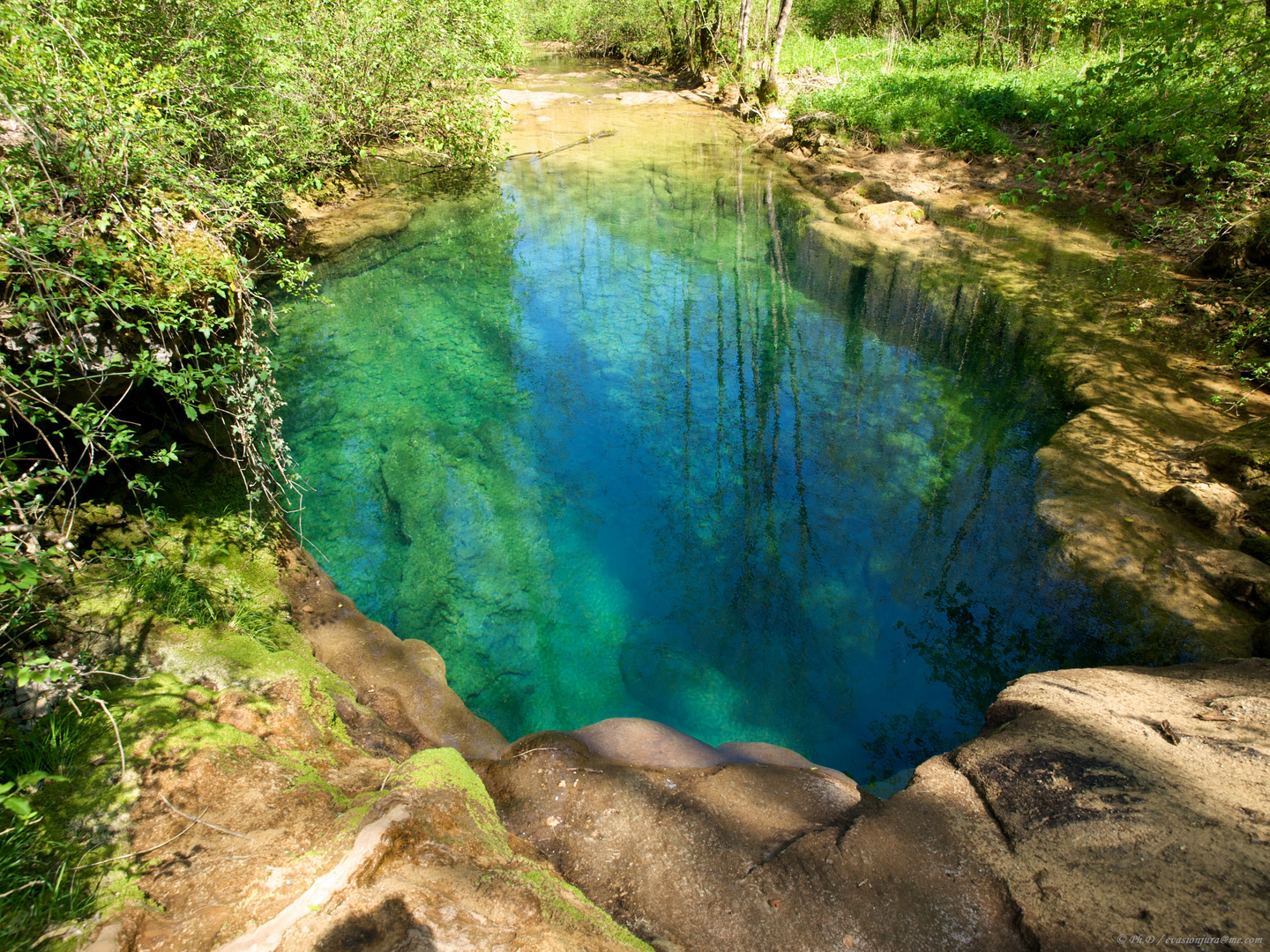 Lagon en forêt