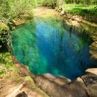 Lagon en forêt