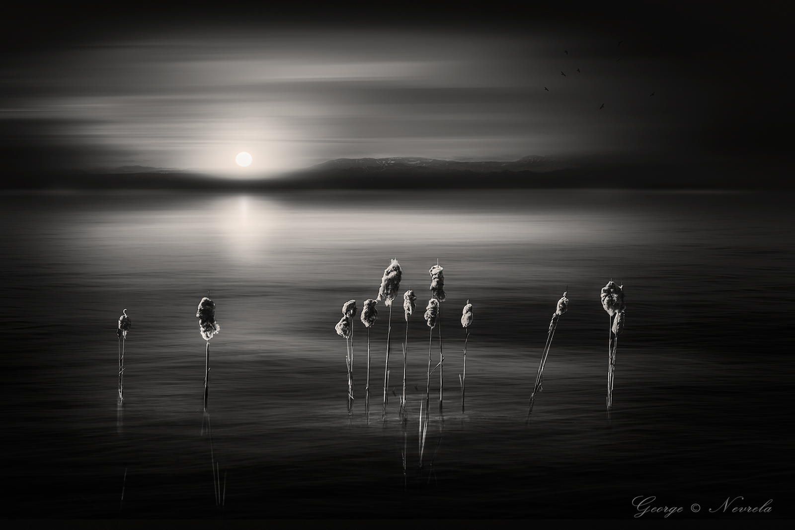 Lagoon Sunset_3_1600_bw