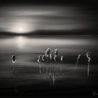 Lagoon Sunset_3_1600_bw