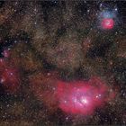 Lagoon und Trifid