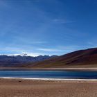 Lagos Altiplanicos, Atacama