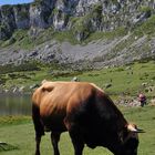 Lagos de Covadonga