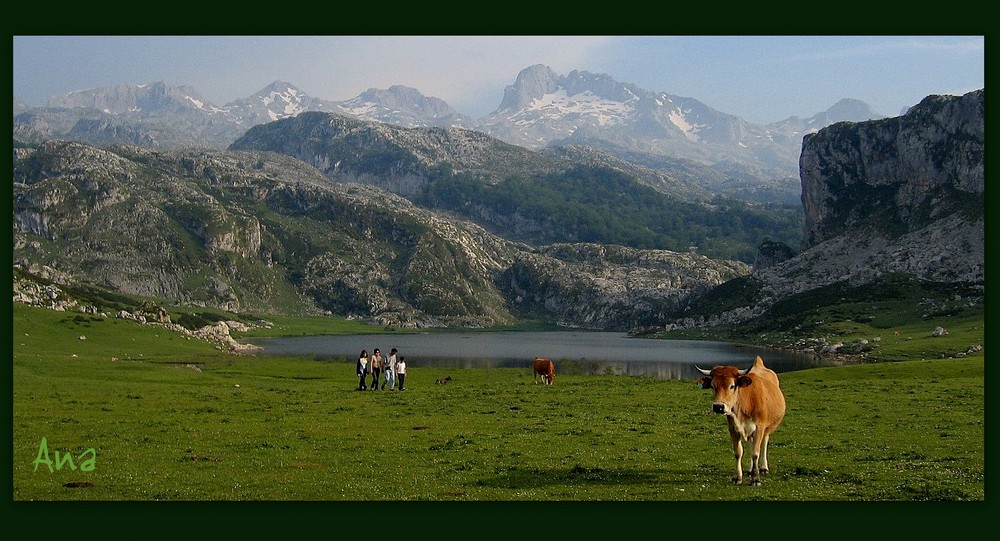 Lagos de Covadonga