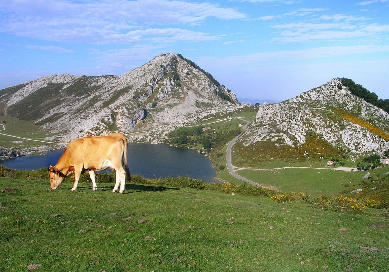 Lagos de Covadonga.