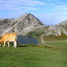 Lagos de Covadonga.