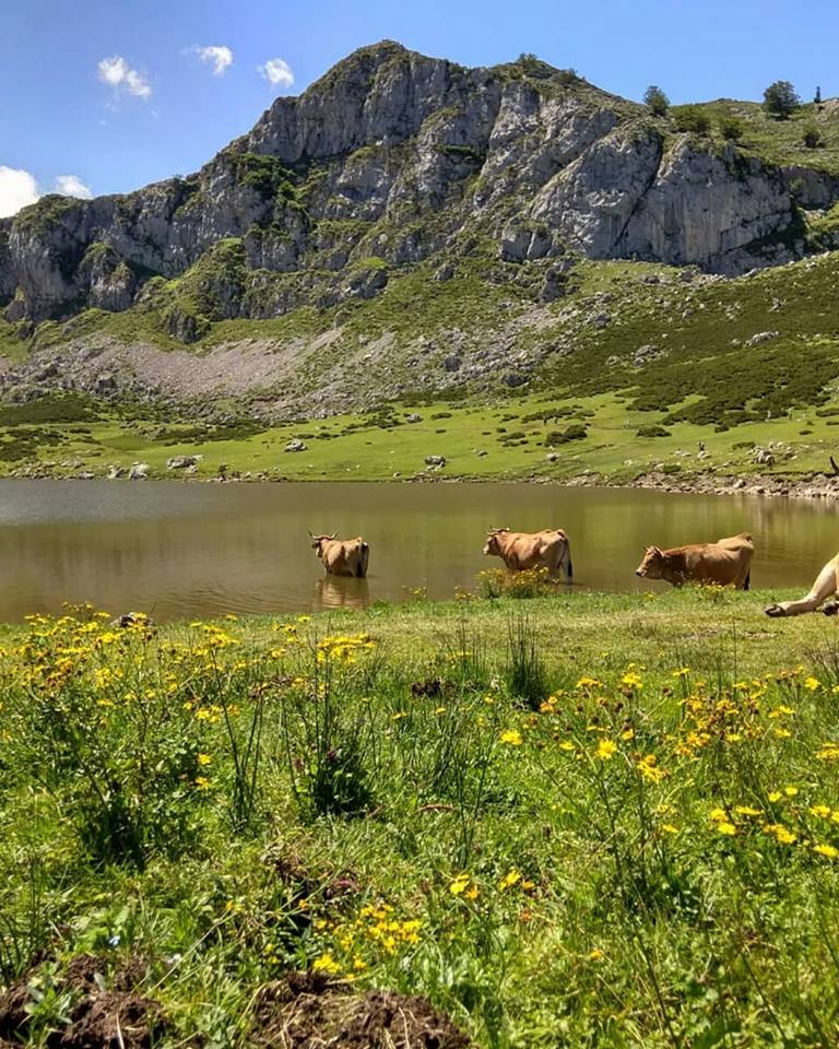 Lagos de Covadonga