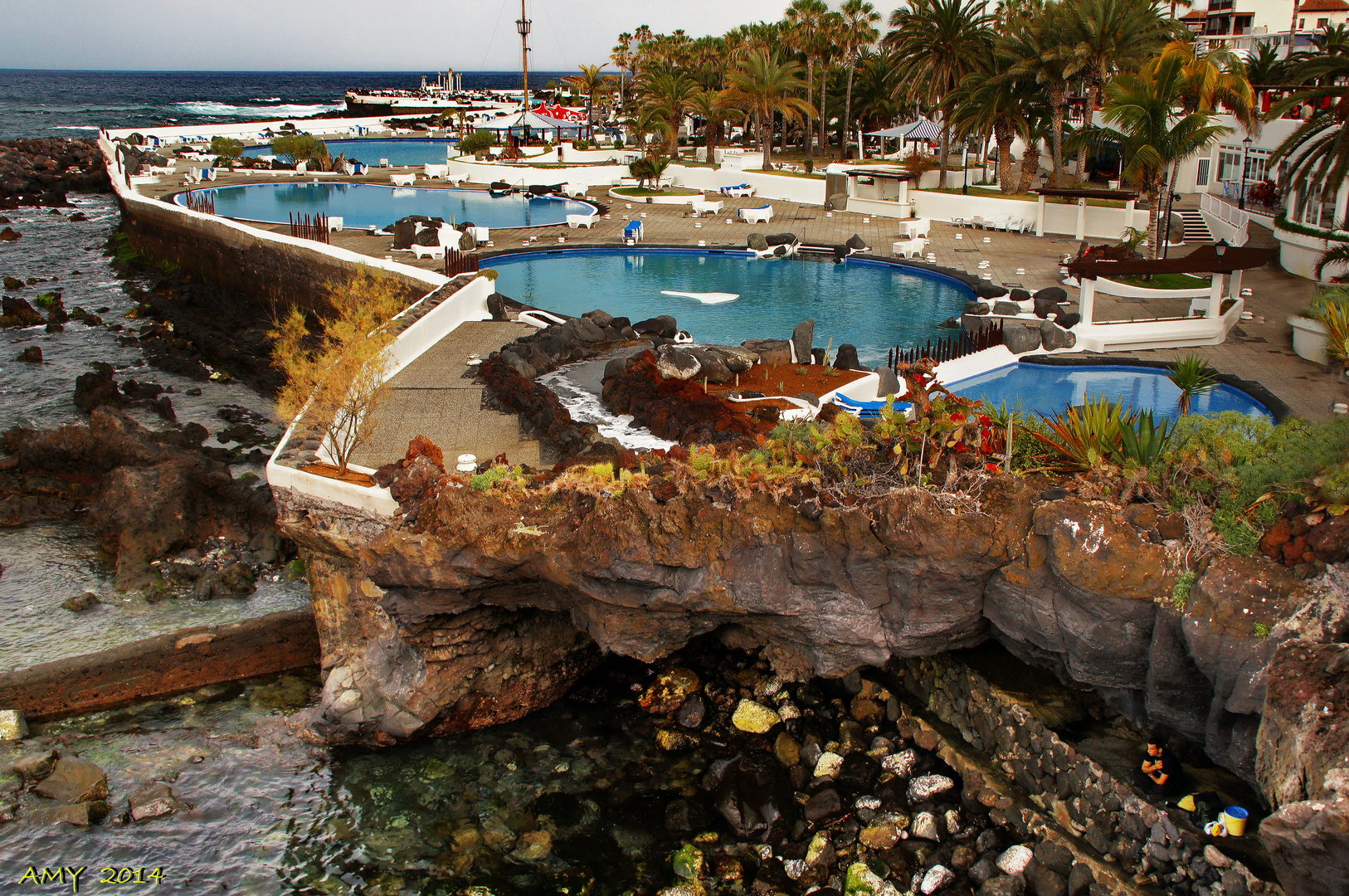 LAGOS MARTIANEZ (Puerto de la Cruz - TENERIFE). Dedicada a PETER KAHLE.