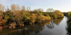 L'Agout à Giroussens (81) Tarn