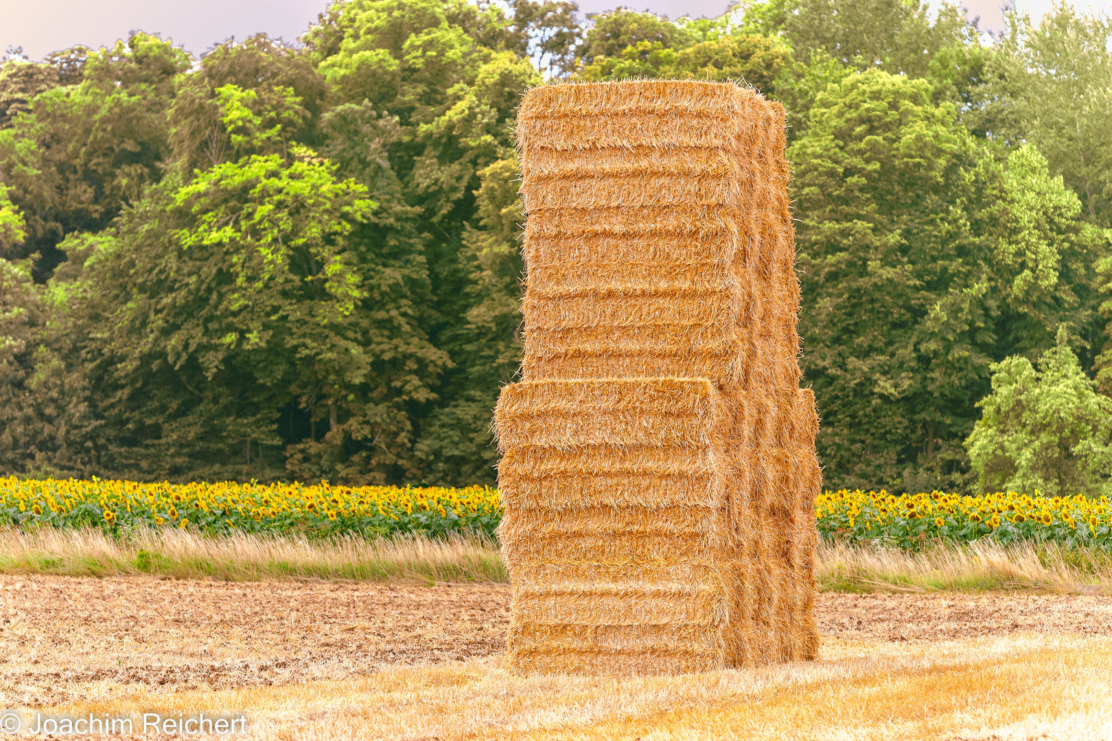 L'agriculture dans la Bourgogne