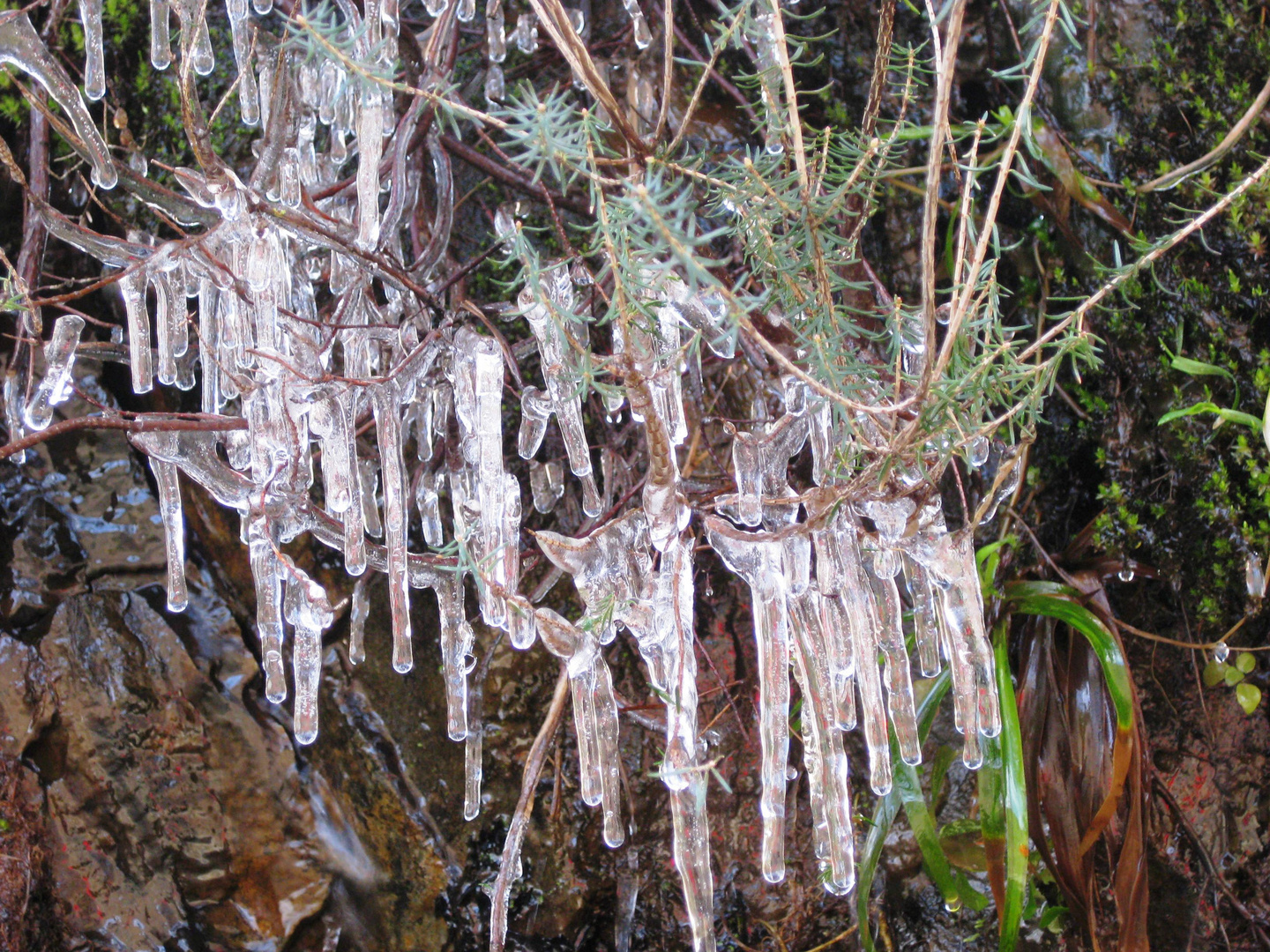 Làgrimas de cristal