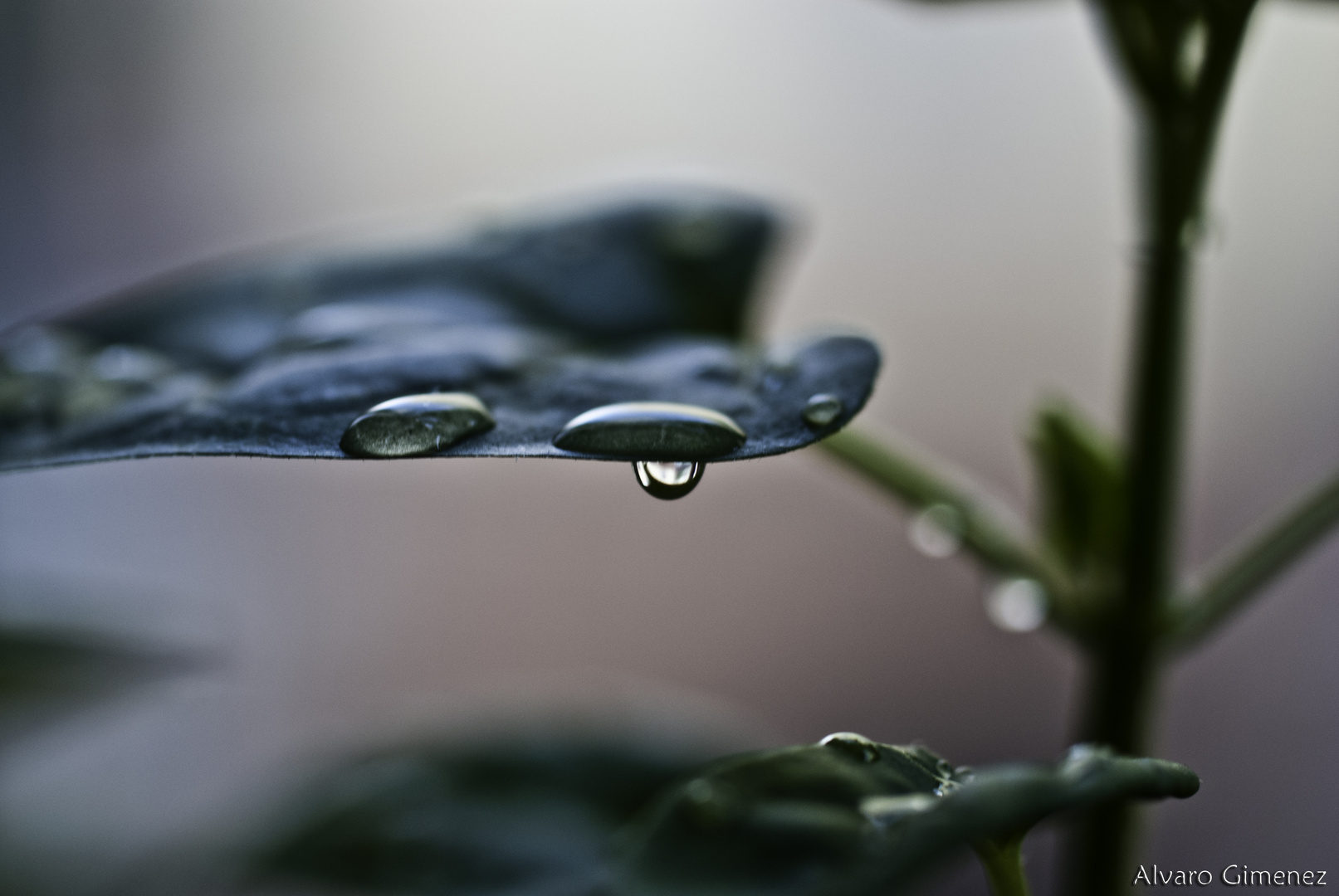 Lágrimas de naturaleza