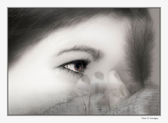 Lagrimas sobre la nieve