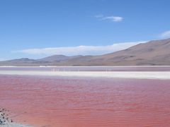 Lagua Colorada in rot