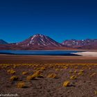 Laguna Altiplanico