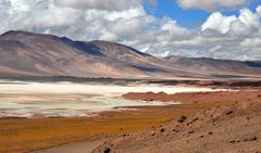 Laguna Altiplanicos