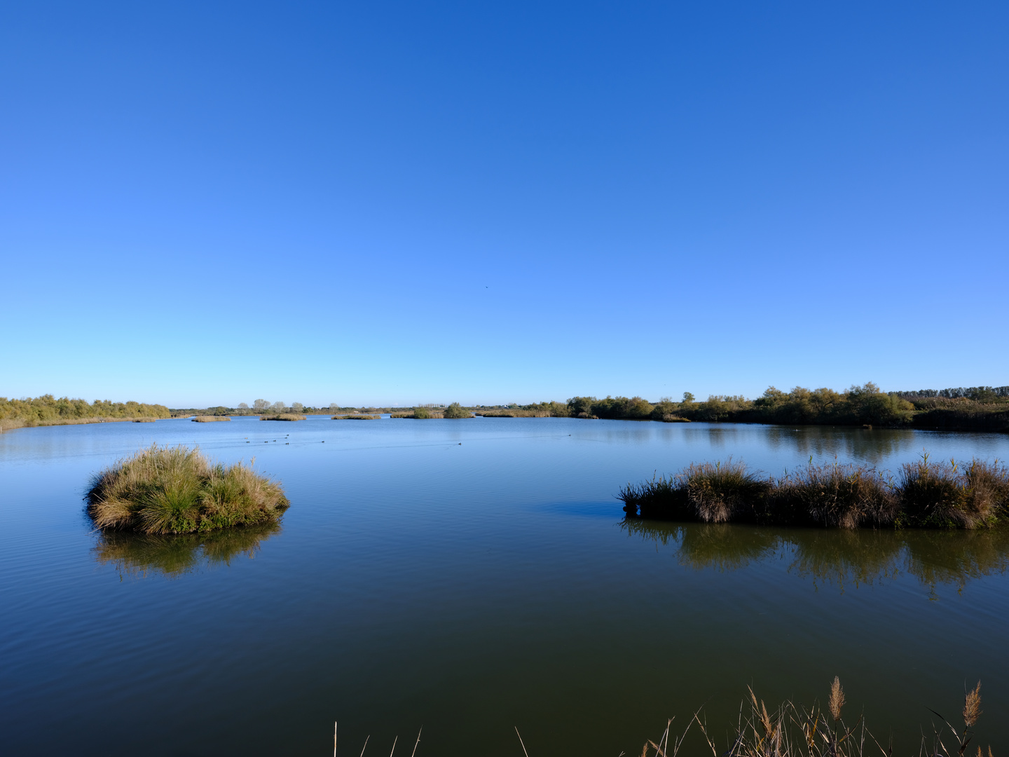 laguna autunnale