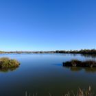 laguna autunnale