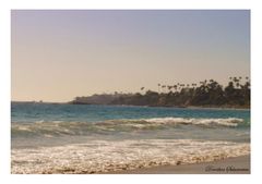 Laguna Beach 2