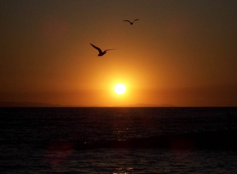 Laguna Beach CA Sunset