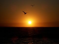 Laguna Beach CA Sunset