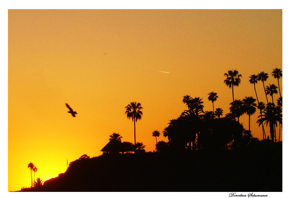 Laguna Beach