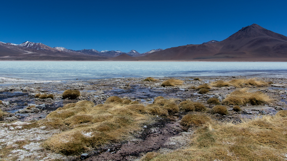 Laguna Blanca