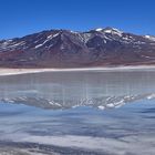 Laguna Blanca , Bolivia