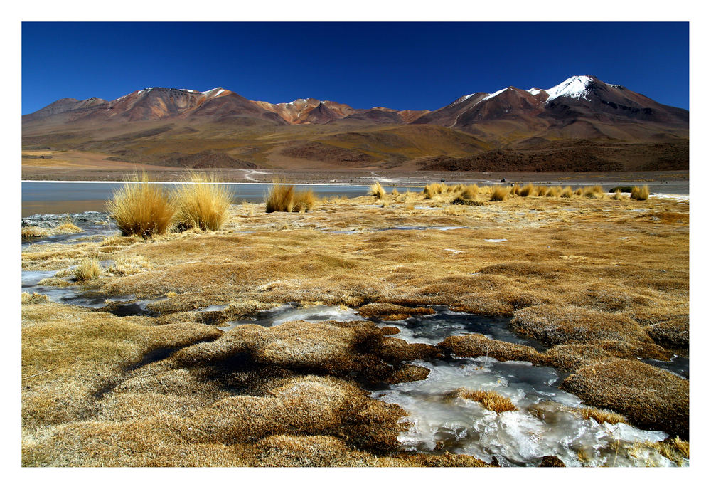 laguna Blanca Höhe:4200 m Reload