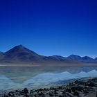 Laguna blanca in Bolivien