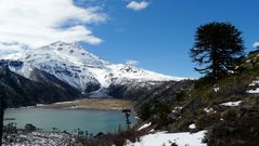 Laguna Blanca/ Vulkan Tolhuaca