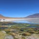 Laguna, Bolivien