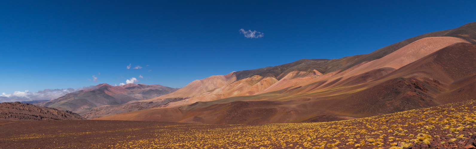 Laguna Brava - beinahe am Ziel