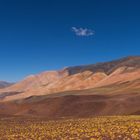 Laguna Brava - beinahe am Ziel