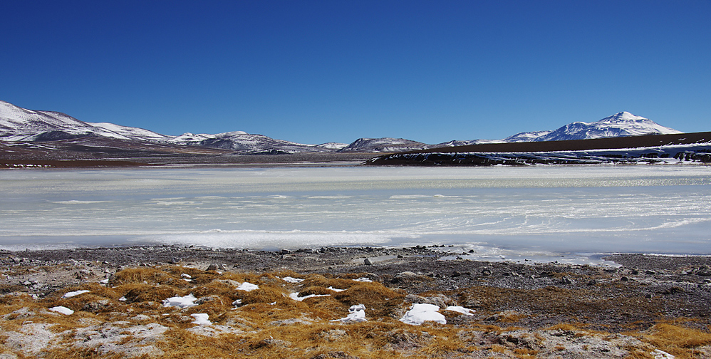 Laguna Brava