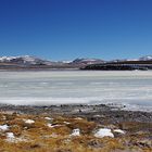 Laguna Brava