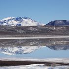 Laguna Brava